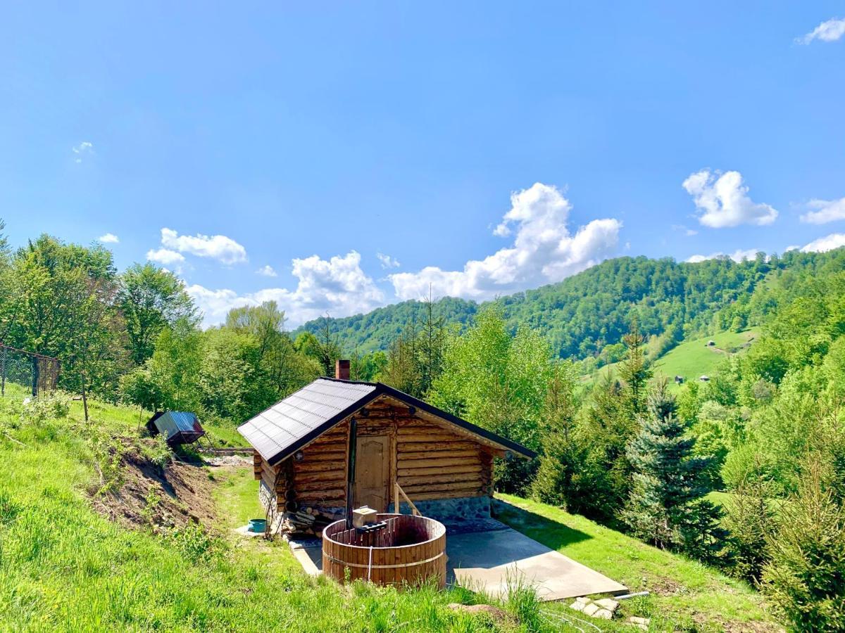 Conacul Drahneilor Hotel Ruscova Exterior foto
