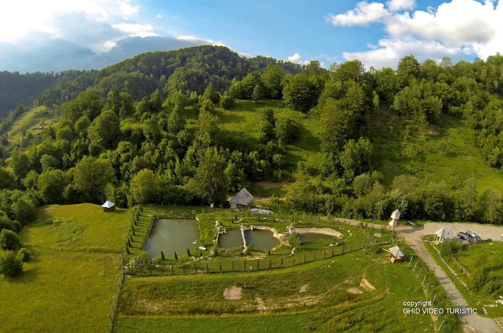 Conacul Drahneilor Hotel Ruscova Exterior foto